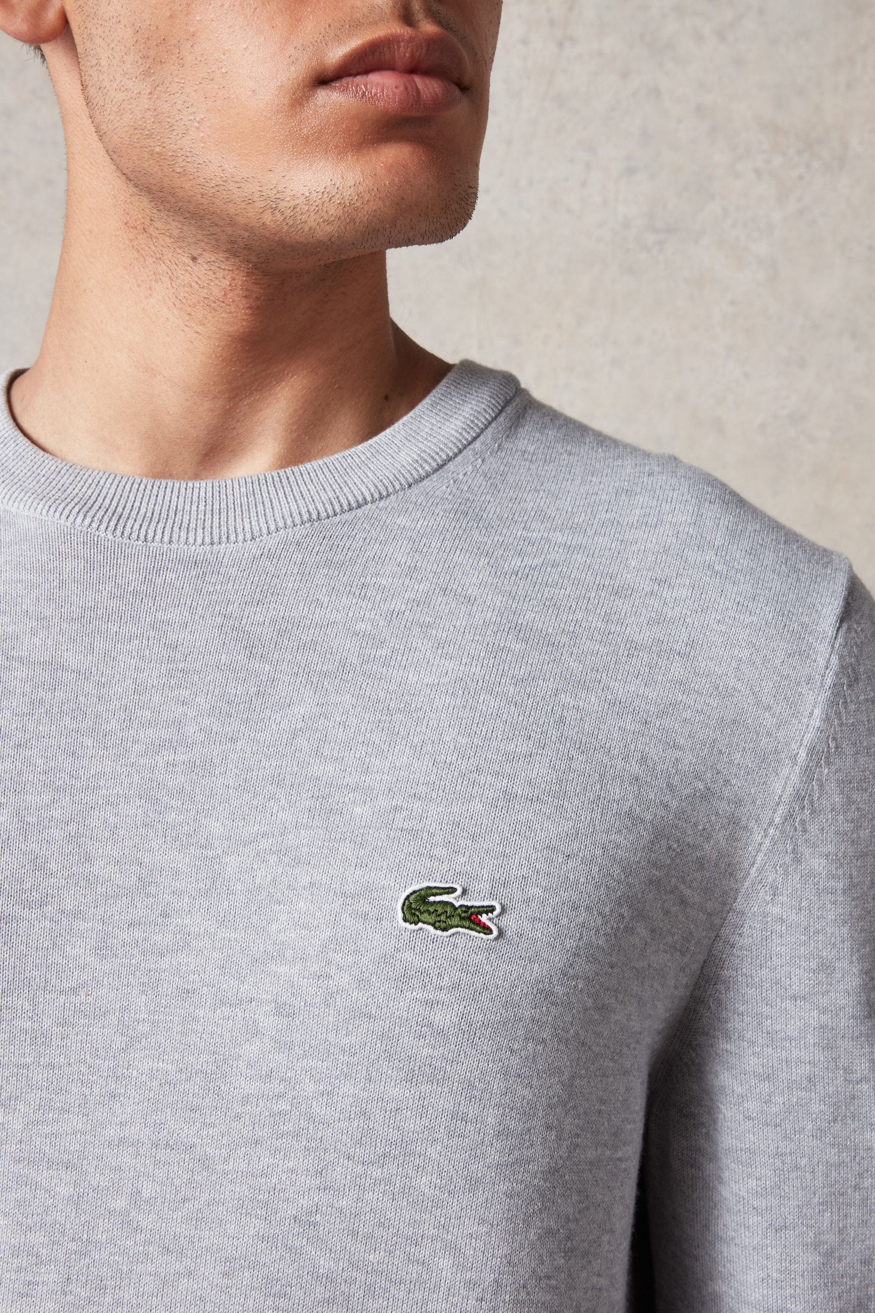 Lacoste Crew Neck Cotton Jersey Jumper