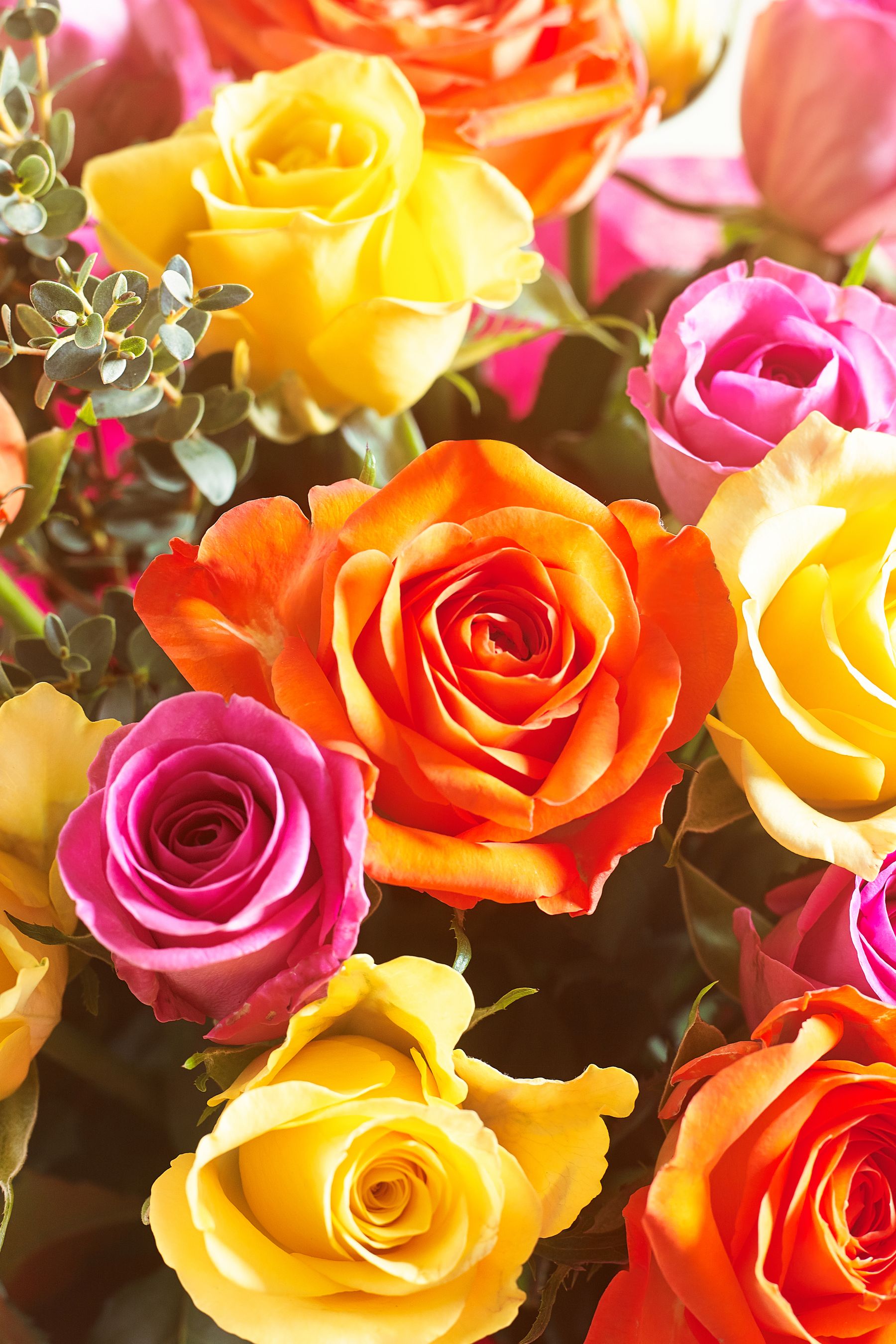 Roses bag cheap