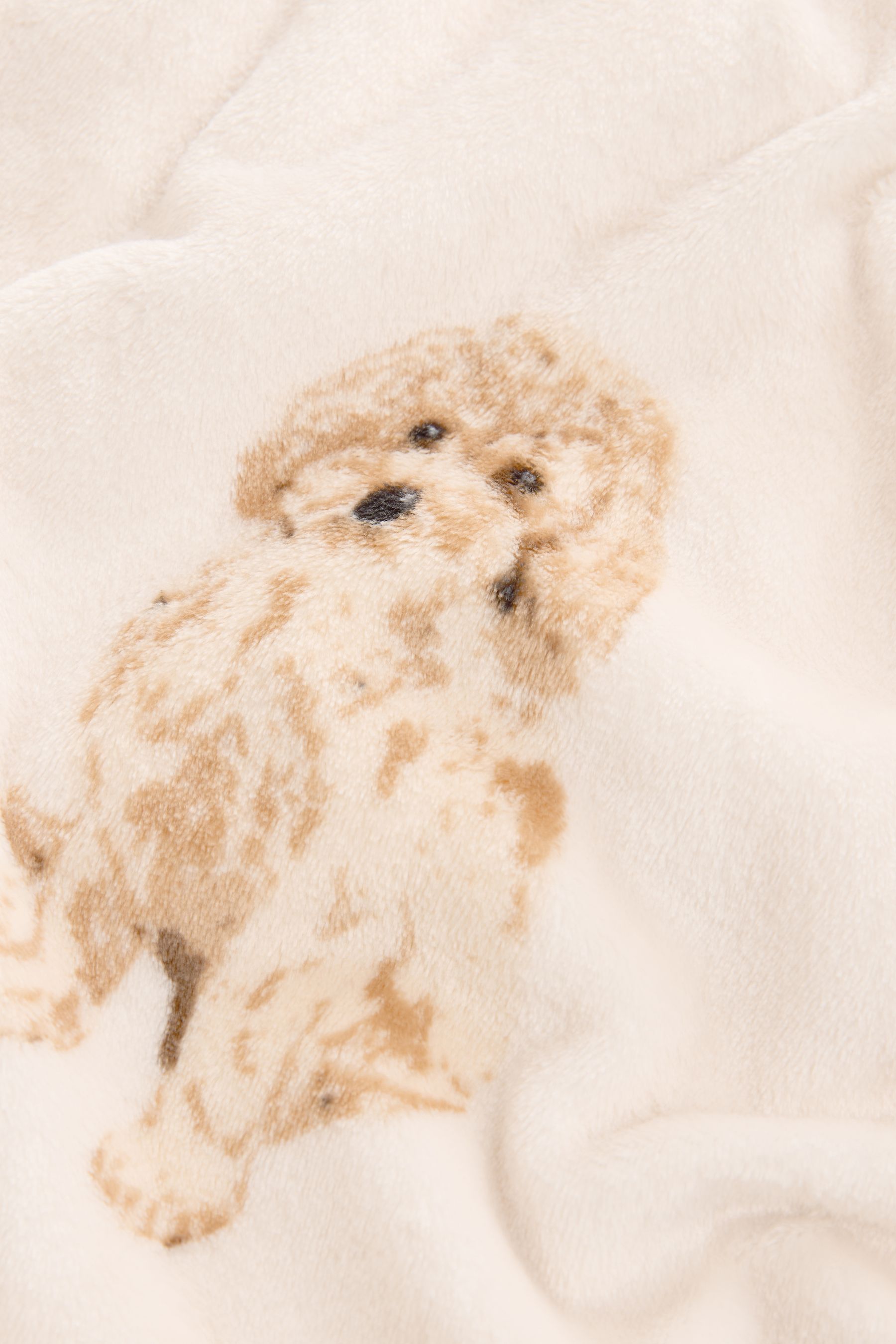Buy Ecru Charlie The Cockapoo Oversized Blanket Hoodie from Next Luxembourg