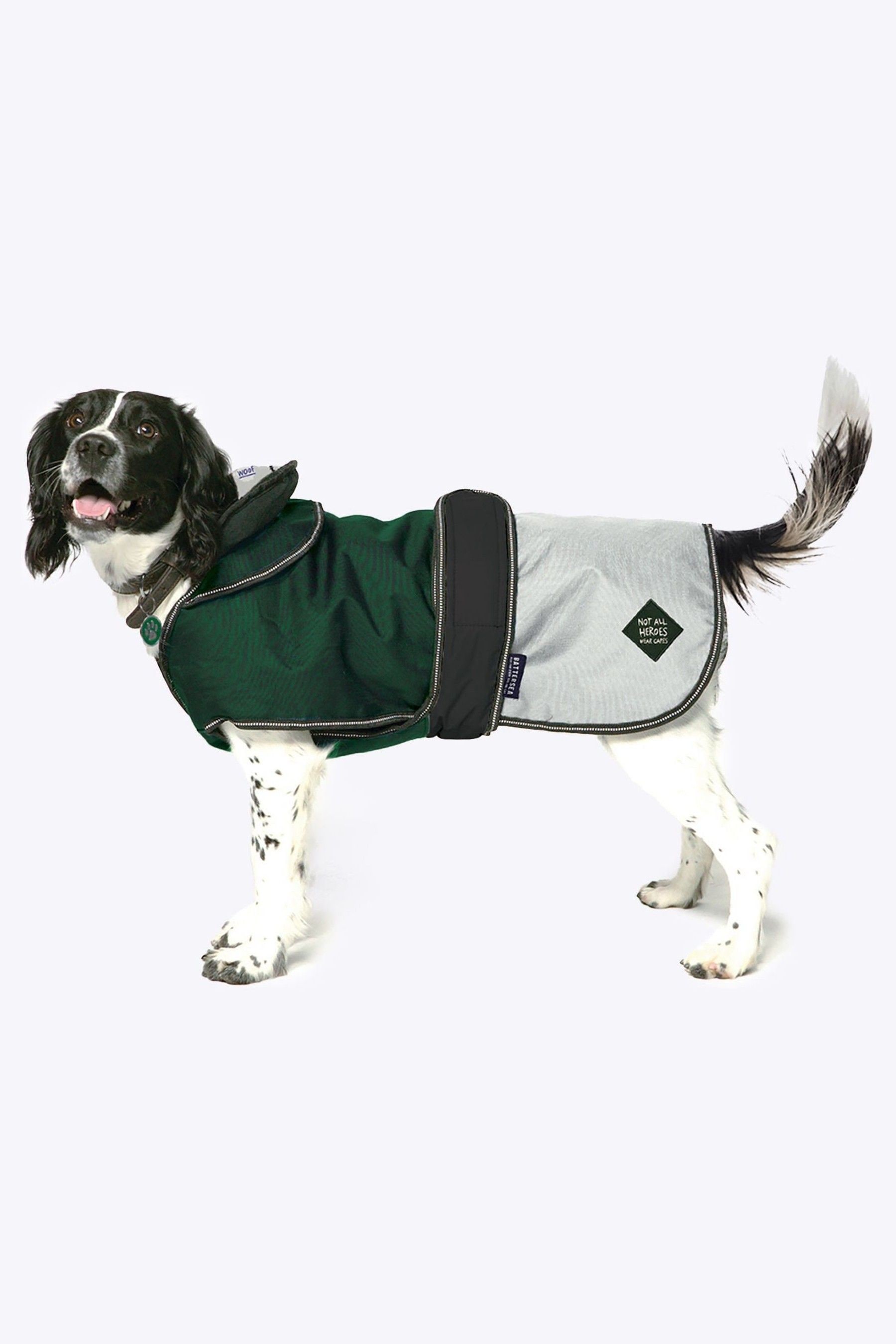 Xsmall dog clothes discount