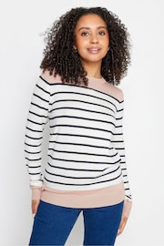 M&Co Pink Petite Petite Long Sleeve Stripe Jumper - Image 1 of 3