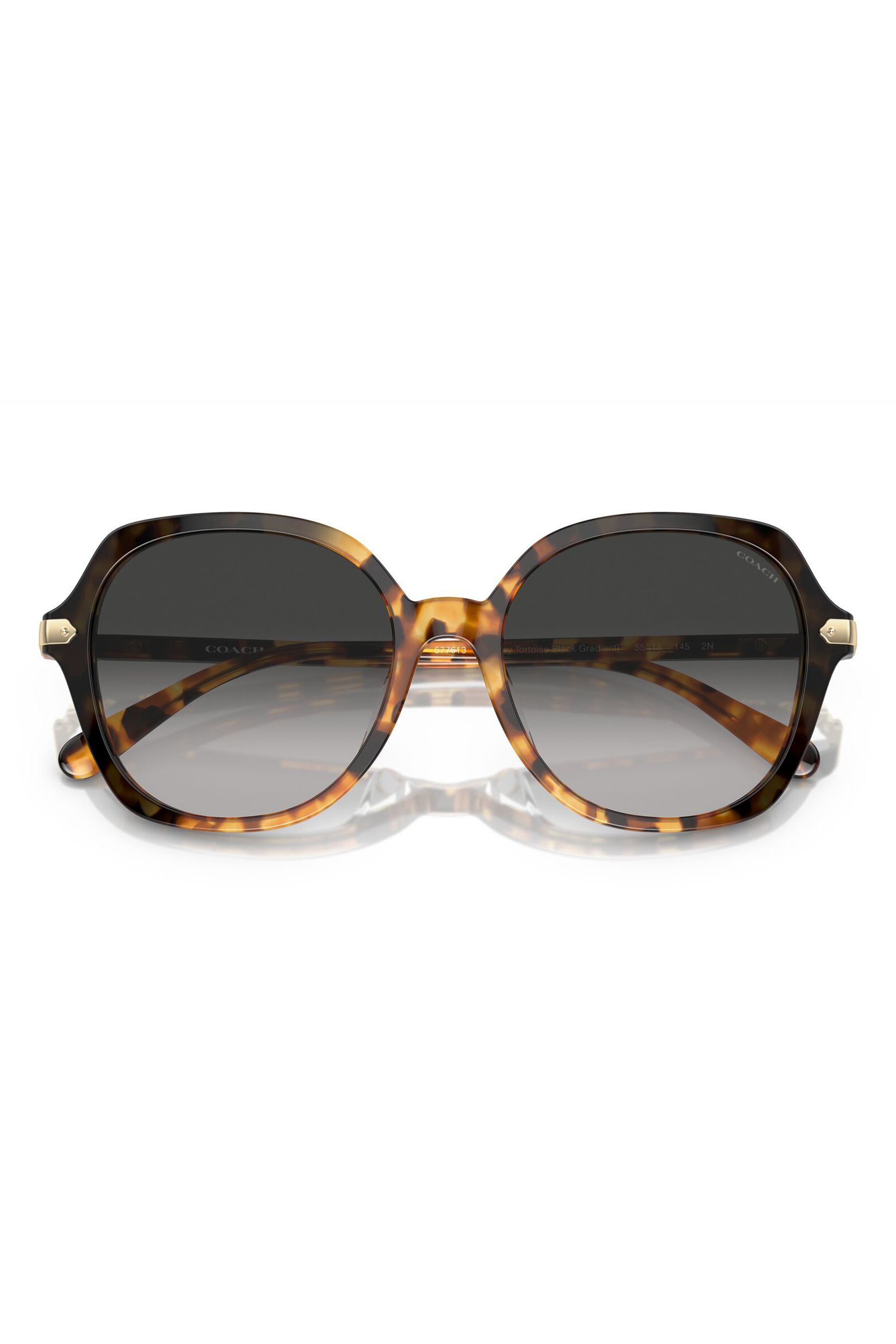 Brown coach sunglasses hot sale