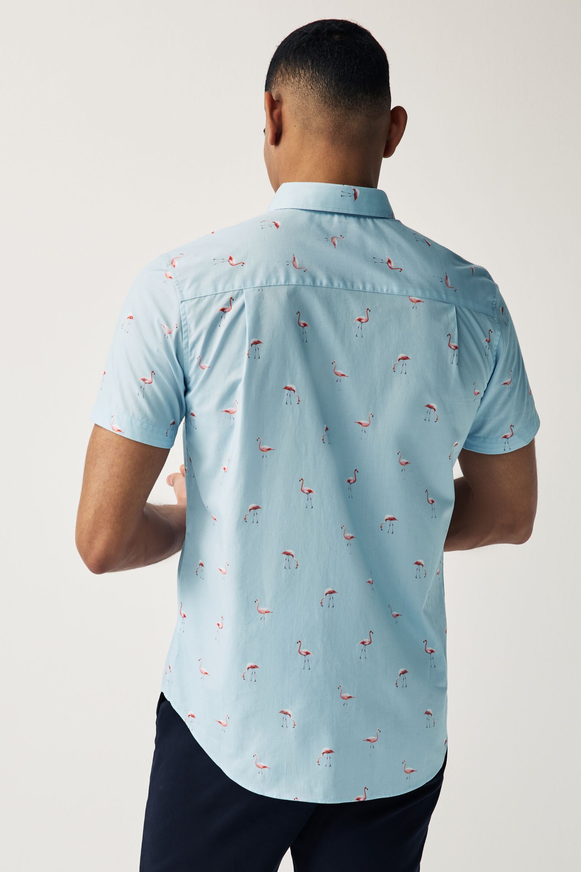 Light Blue Flamingo Regular Fit Printed Short Sleeve Shirt - Image 3 of 7