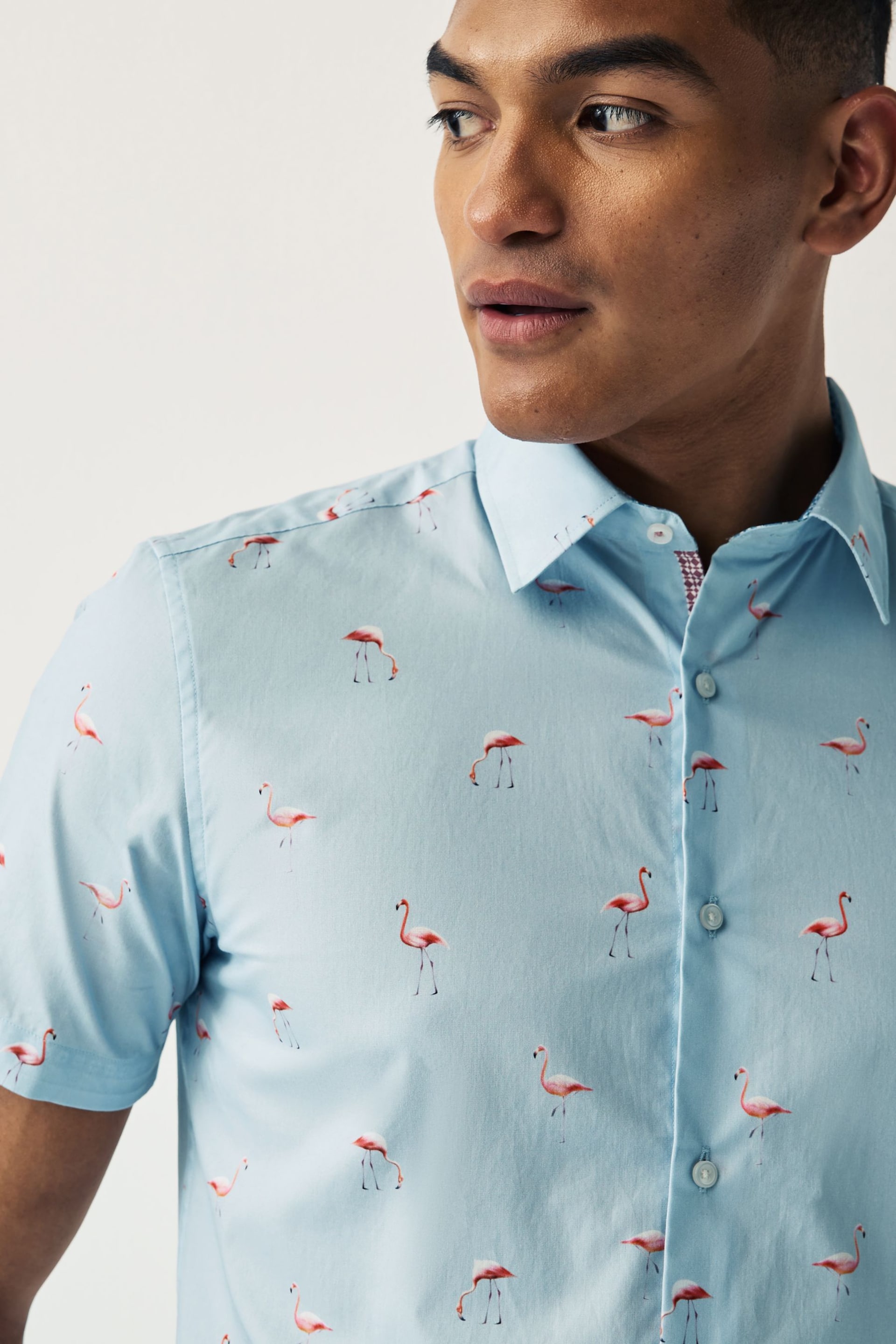 Light Blue Flamingo Regular Fit Printed Short Sleeve Shirt - Image 4 of 7