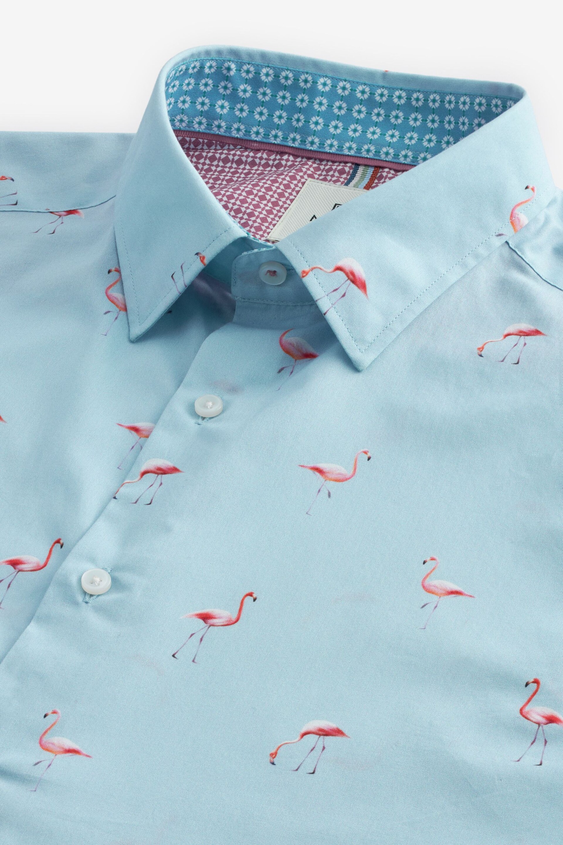 Light Blue Flamingo Regular Fit Printed Short Sleeve Shirt - Image 6 of 7