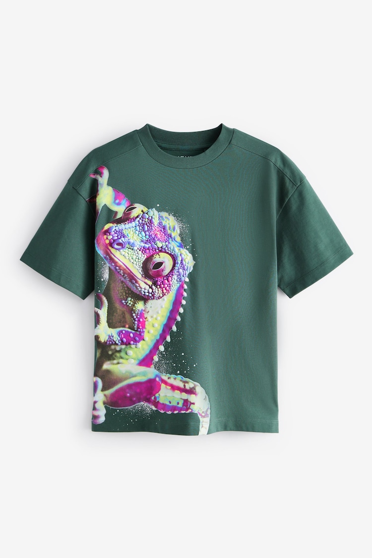 Green Ghecko Relaxed Fit Short Sleeve 100% Cotton Graphic T-Shirt (3-16yrs) - Image 1 of 3