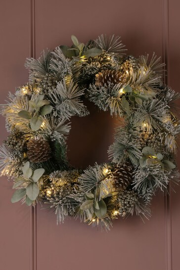 Laura Ashley Green/White Pre-Lit LED Flocked Berry & Pinecone 24" Christmas Wreath