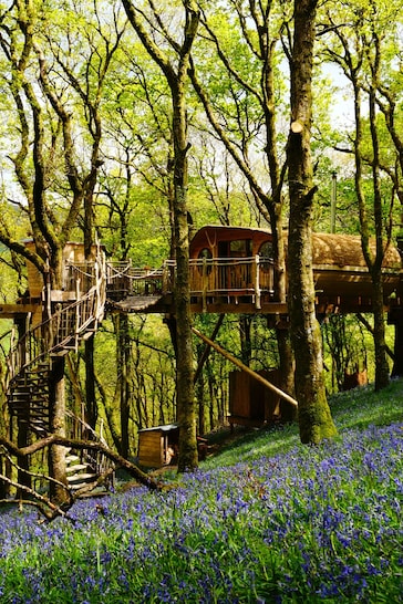 AS Two Night Tree House Escape for Two Gift Experience