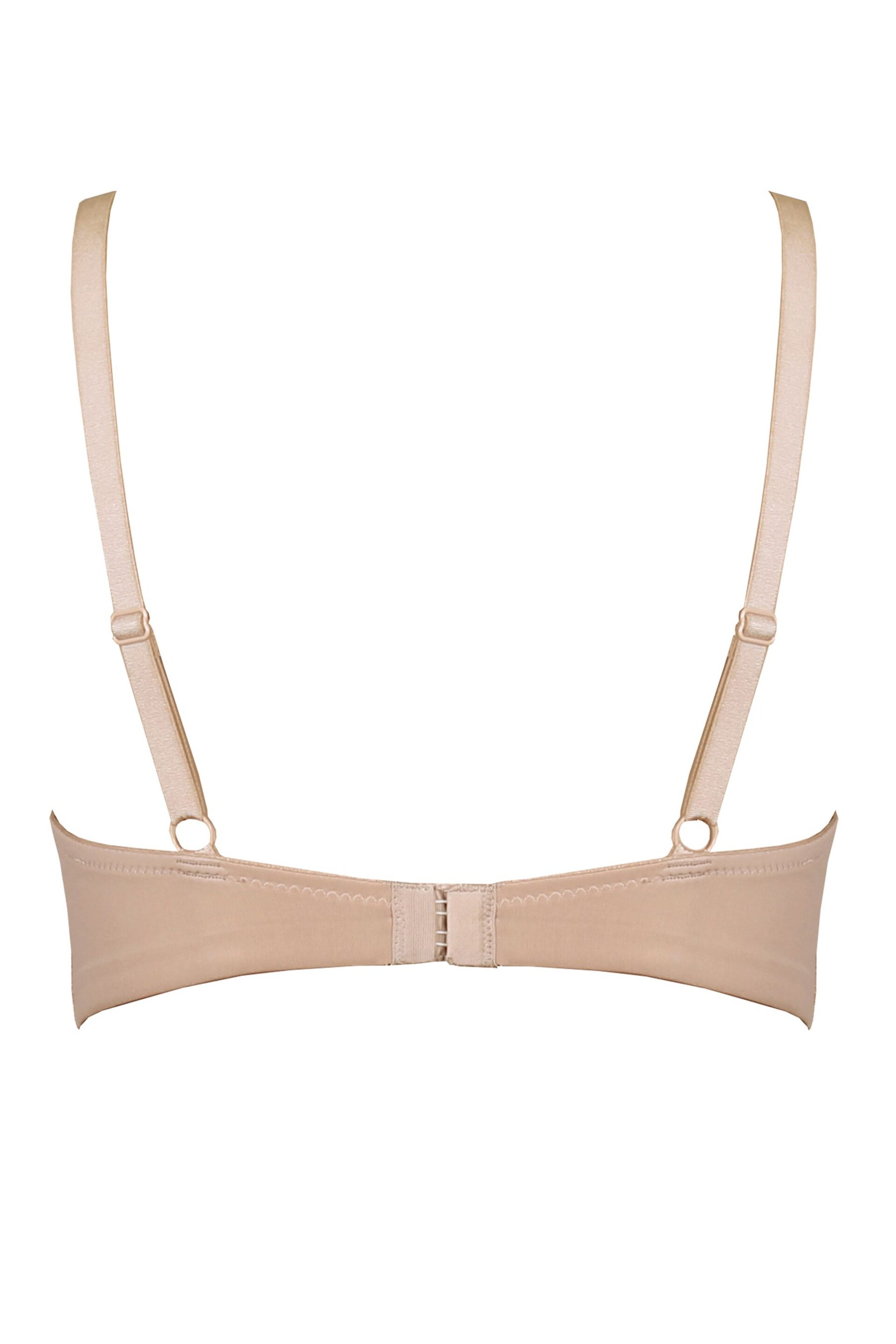 Pour Moi Natural Padded Romance Moulded Plunge Push Up Bra - Image 5 of 5