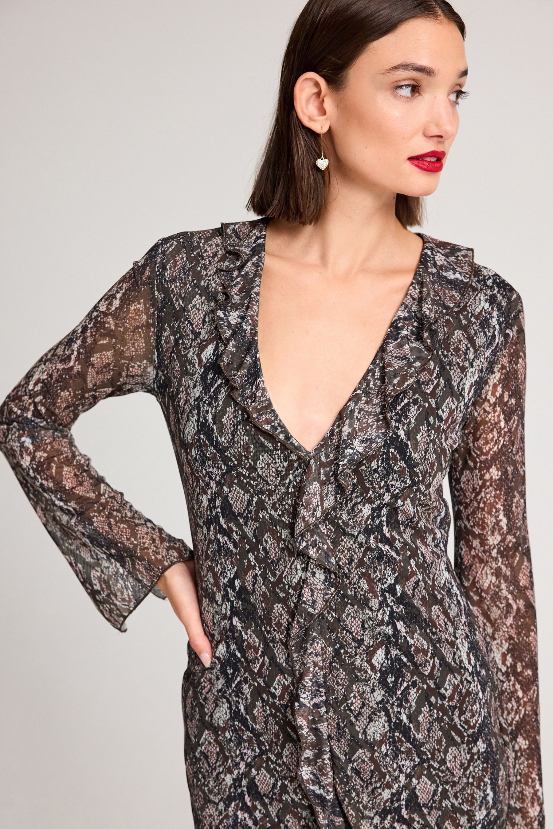 Brown Snake Print Long Sleeve Mesh Ruffle Maxi Dress