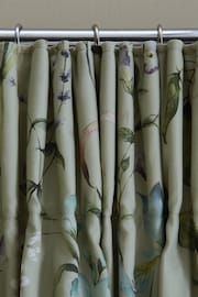 Sage Green Next Regency Floral Eyelet Blackout/Thermal Curtains - Image 6 of 8