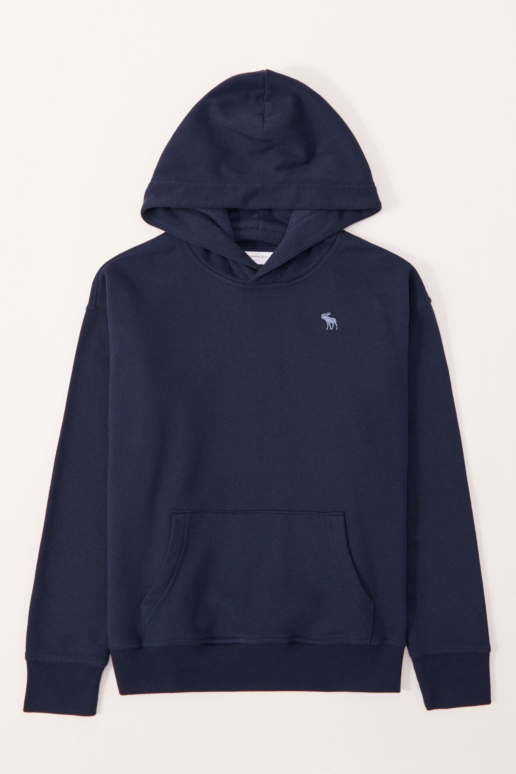Buy Abercrombie Fitch Essential Icon Hoodie from Next Luxembourg