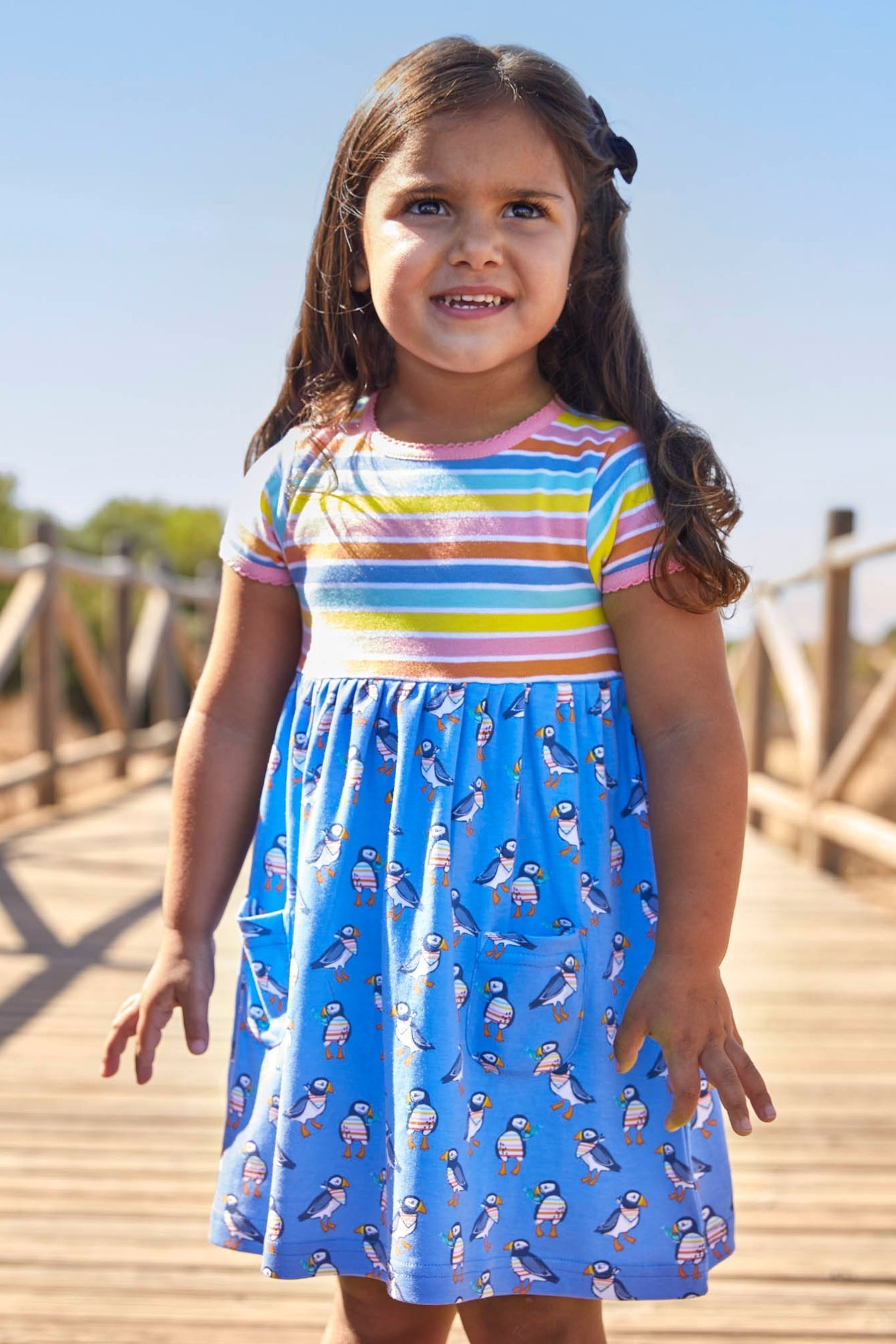 Buy JoJo Maman Bebe Rainbow Multi Coloured Stripe Puffin Print With Pet In Pocket Combo Dress from the Next UK online shop