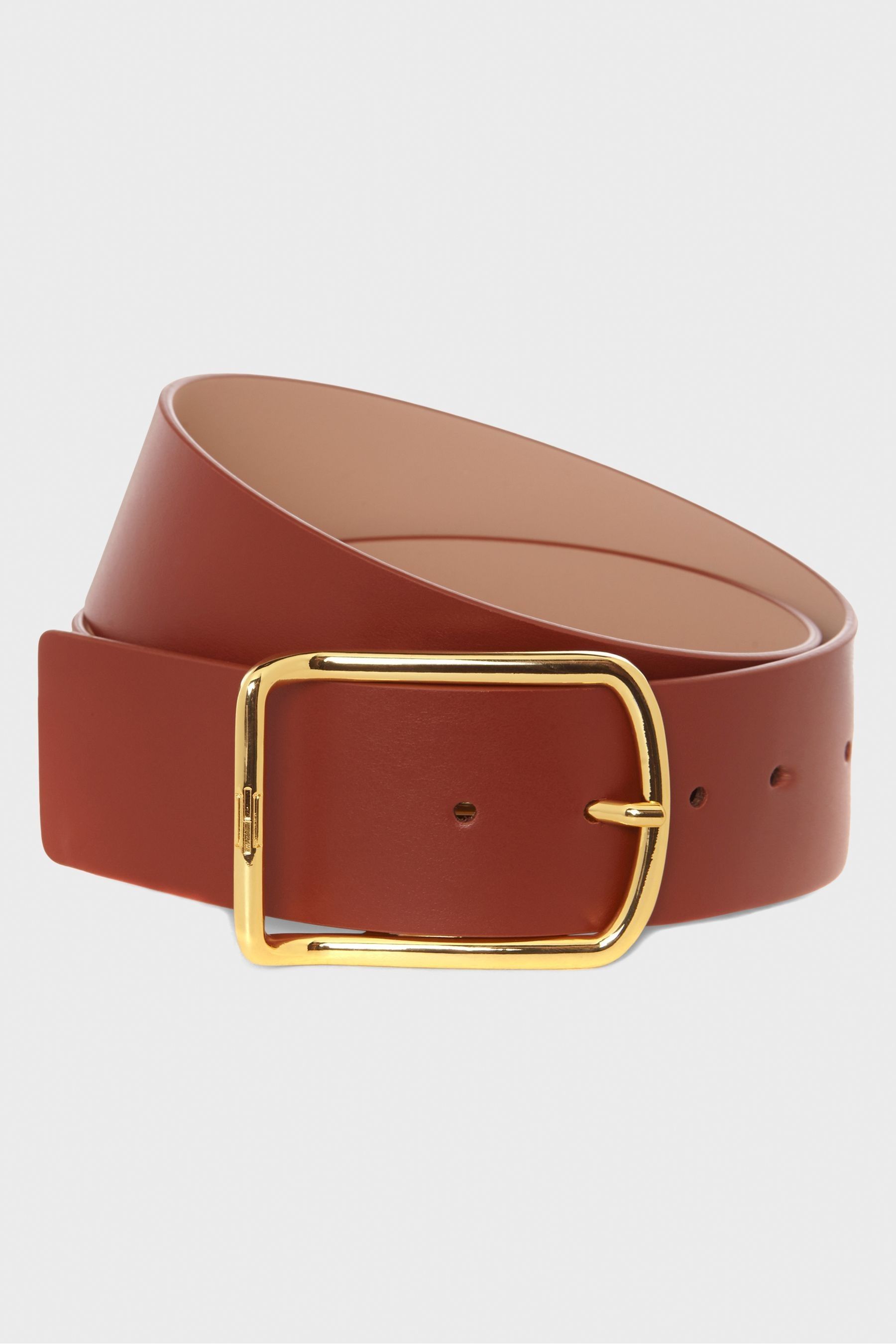 Buy Hobbs Cassidy Brown Wide Belt from Next Germany