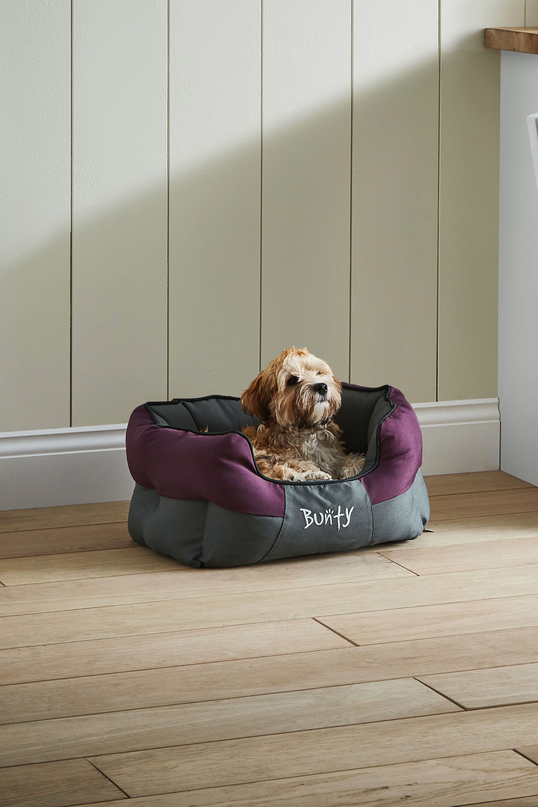 Buy Bunty Purple Anchor Waterproof Dog Bed from the Next UK online