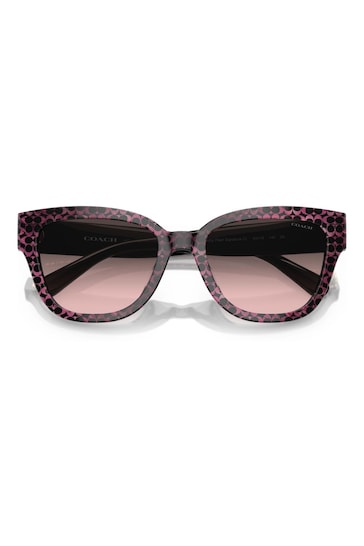 COACH Pink HC8379U Sunglasses