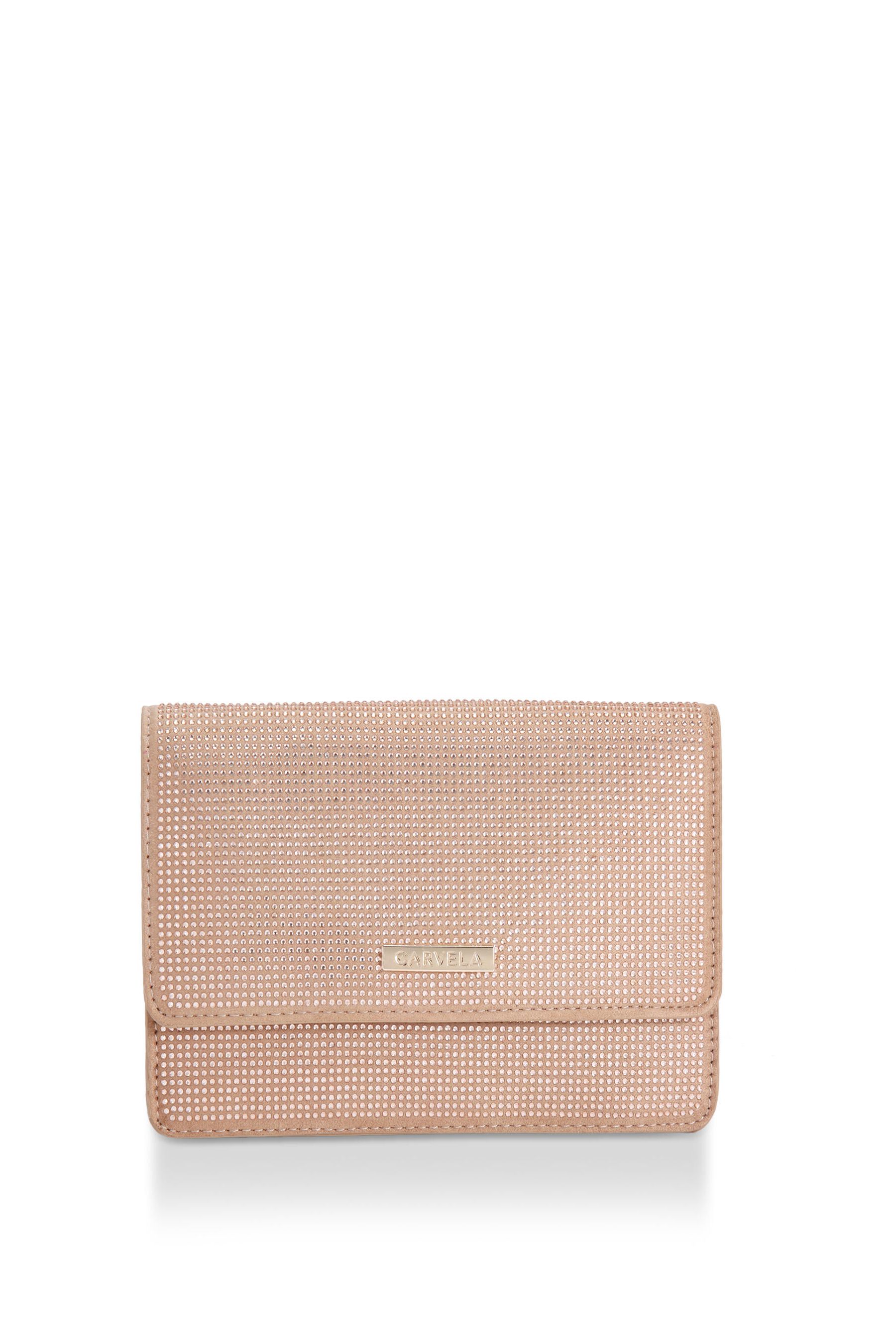 Pink sales carvela bag