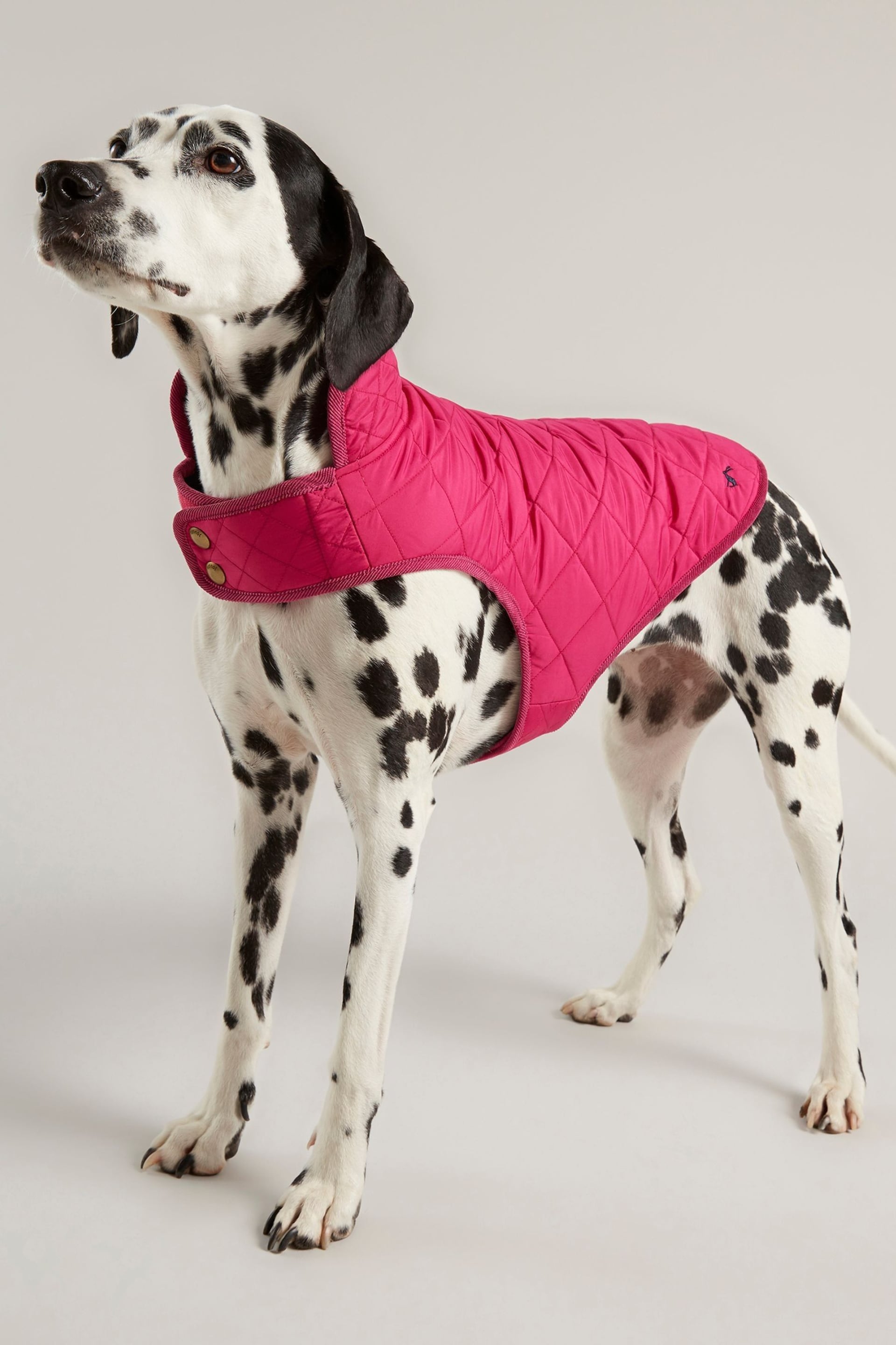 Joules Raspberry Pink Quilted Rain Dog Coat - Image 1 of 4