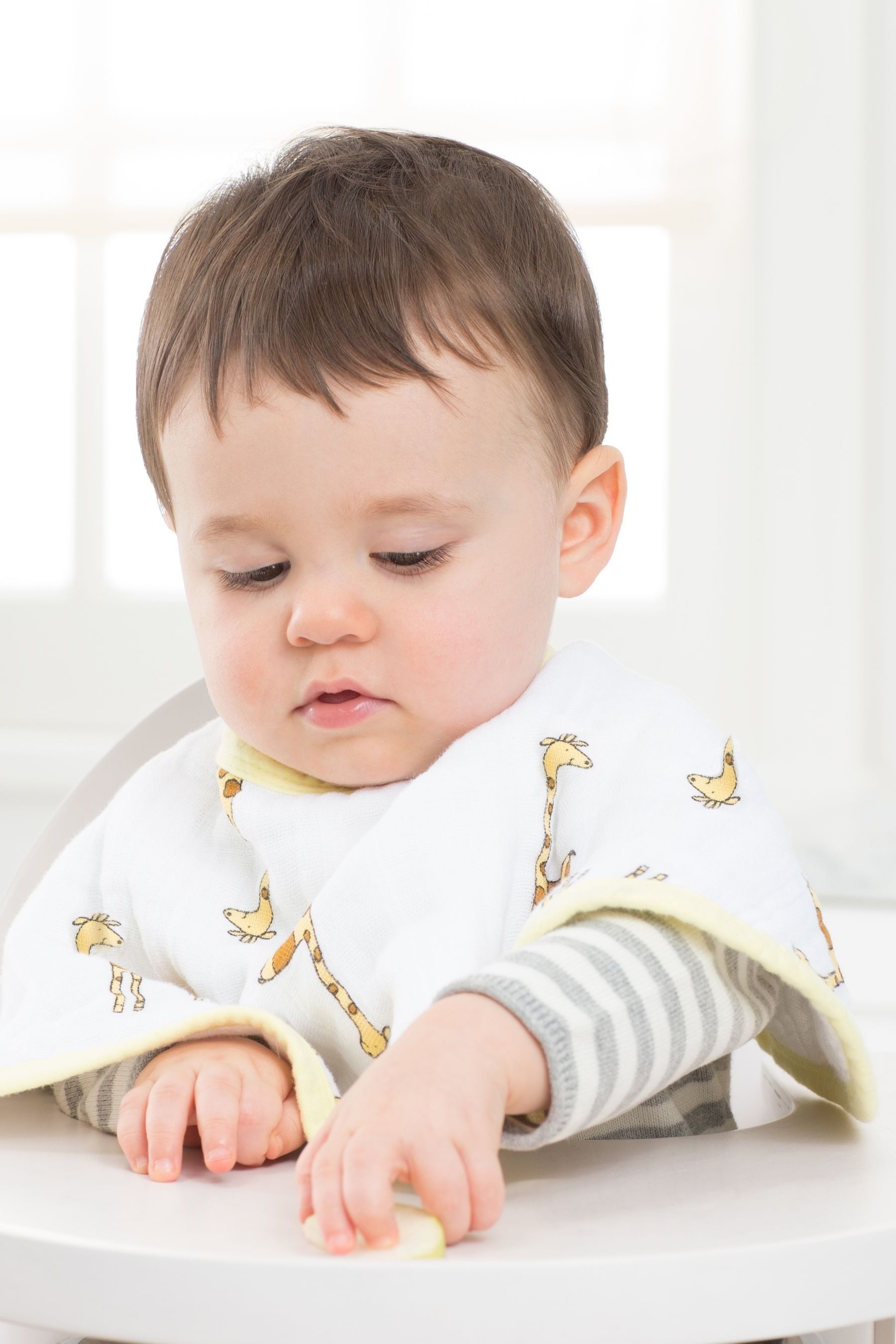 Aden and anais online burpy bib