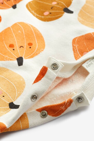 Buy Cream Pumpkin Cosy Baby Sweatshirt u0026 Joggers 2 Piece Set (0mths-2yrs)  from the Next UK online shop