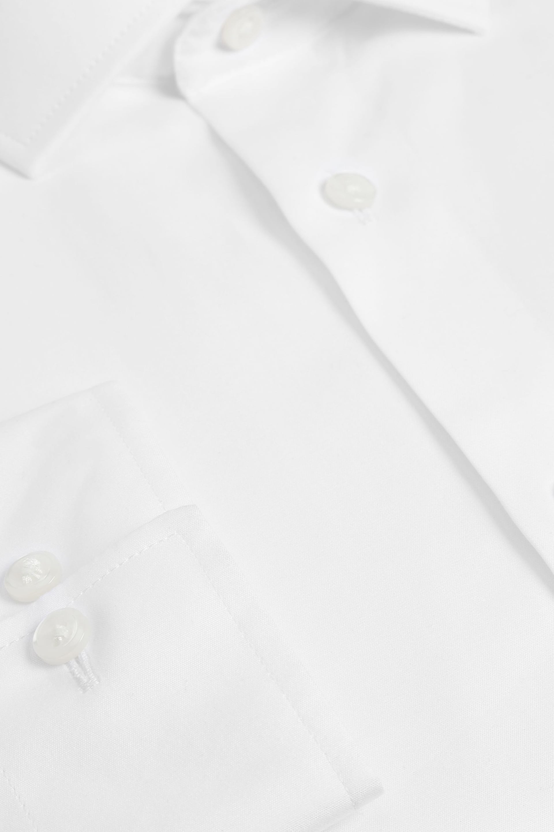 White Regular Fit Cotton Single Cuff Shirt - Image 4 of 4