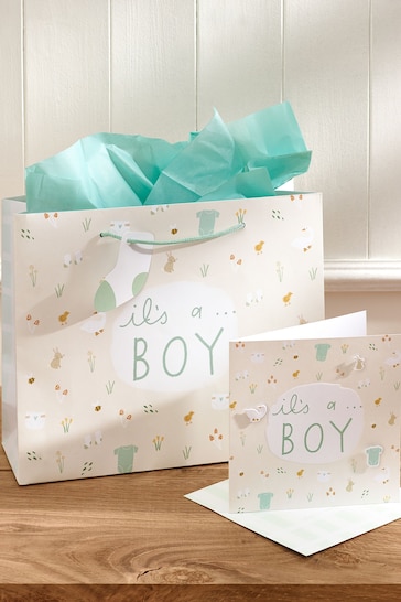 Soft Teal Baby Icons Gift Bag and Card Set