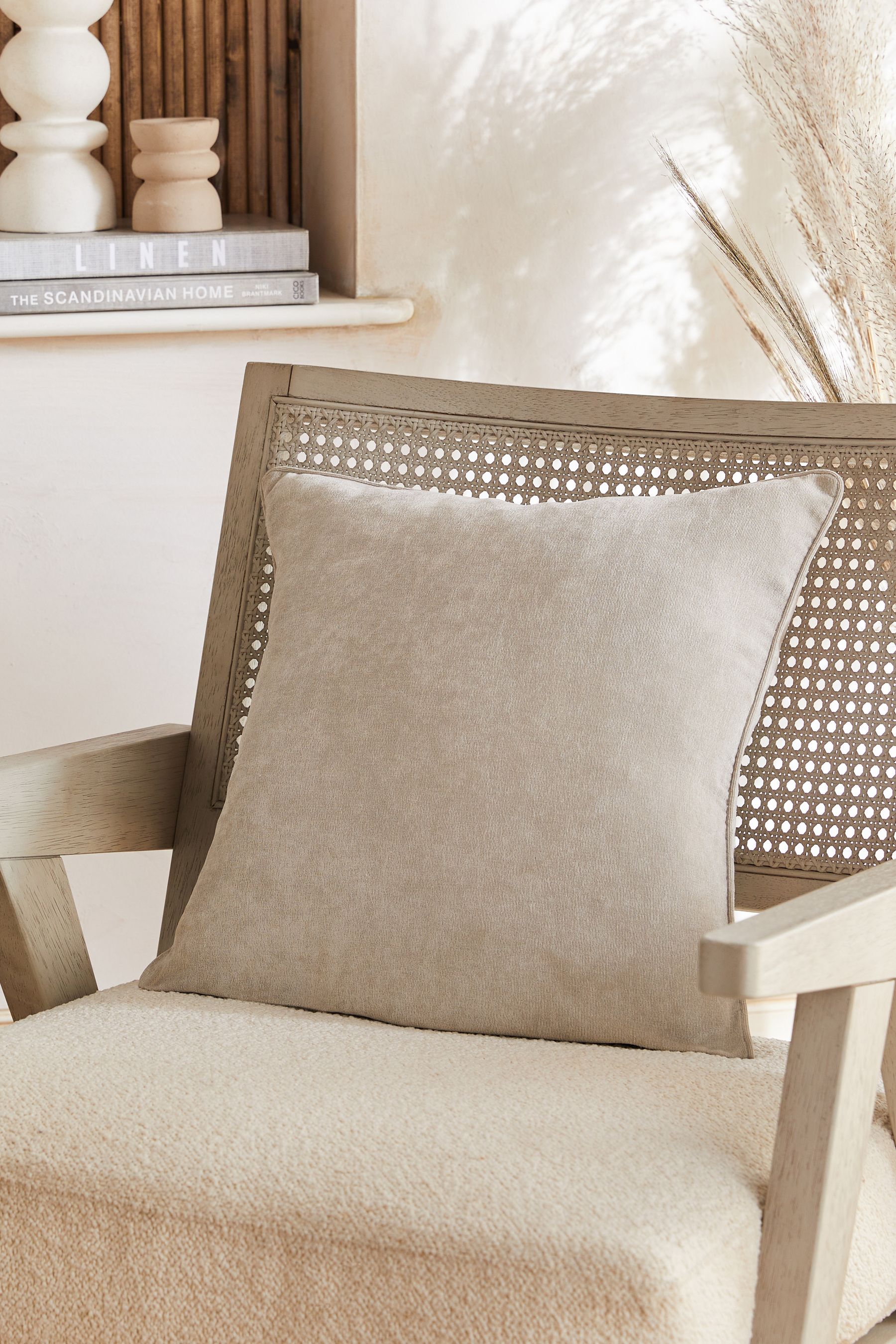 Next velour cushions online