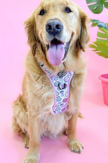 Pawsome Paws Boutique Pink blue Tough Trails Dog Harness
