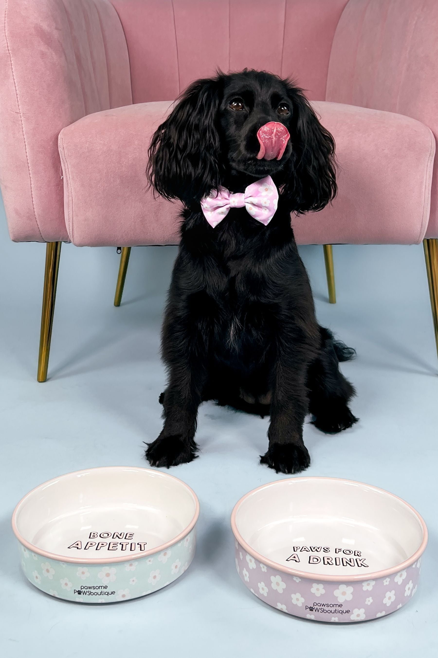 Pawsome Paws Boutique Set of 2 Pink Blue Ceramic Pet Bowls