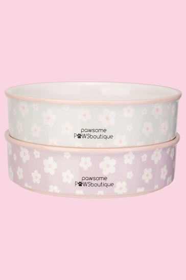 Pawsome Paws Boutique Set of 2 Pink/Blue Ceramic Pet Bowls