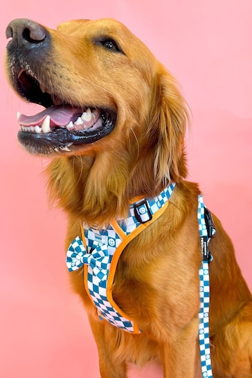 Pawsome Paws Boutique Teal White Tough Trails Dog Harness