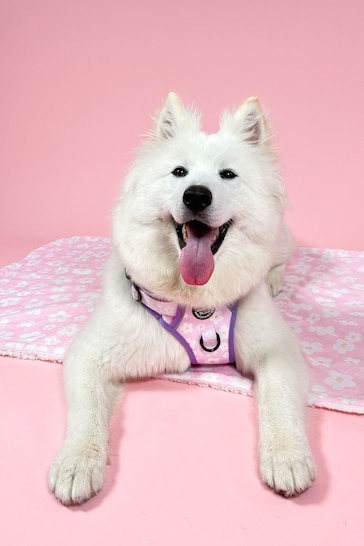 Pawsome Paws Boutique Pale Pink Tough Trails Dog Harness