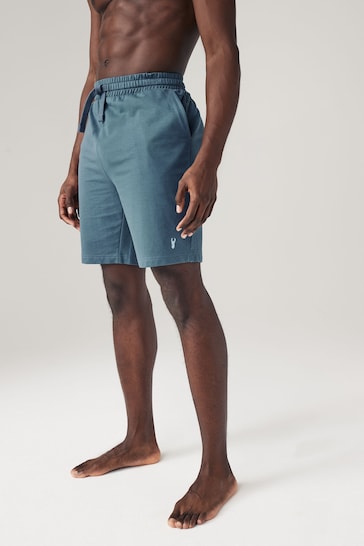Blue/Brown Lightweight Jogger Shorts 2 Pack