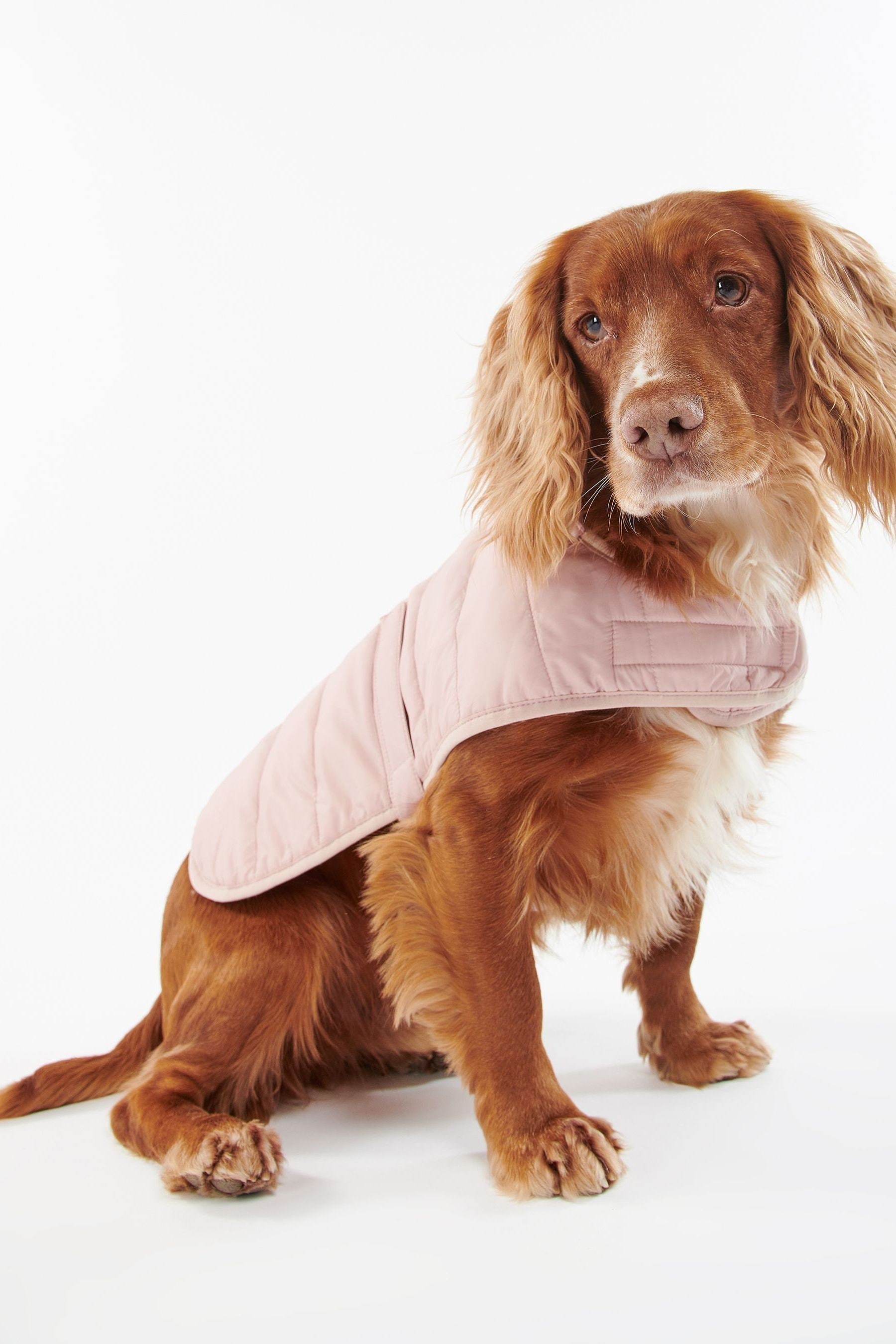 Buy Barbour Pink Baffle Quilted Dog Coat from Next USA