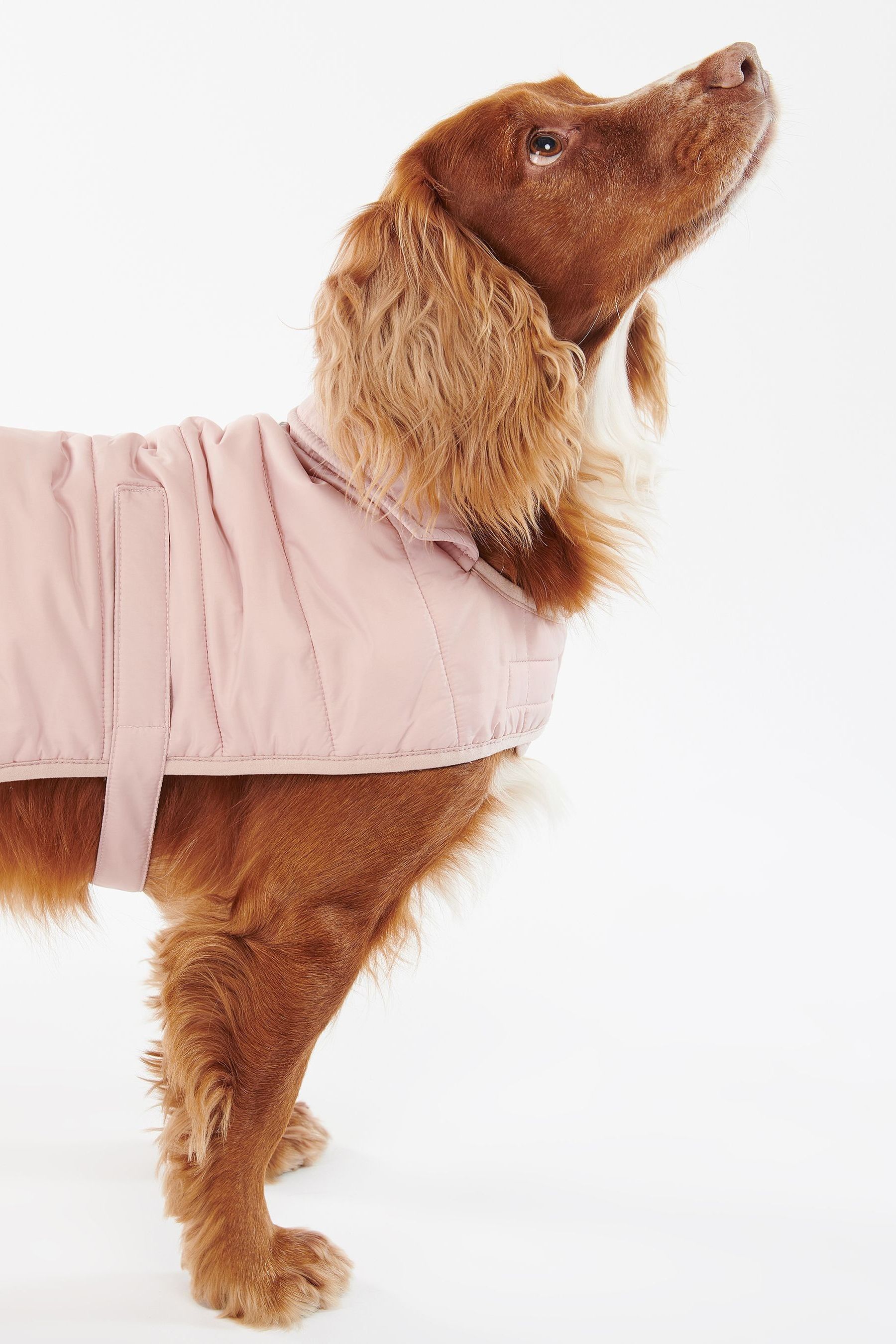 Barbour quilted dog coat online