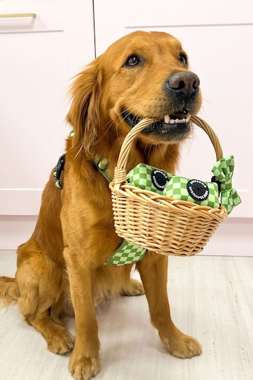 Pawsome Paws Boutique Dark Green Dog Poo Bag Holder And Bow Tie Set