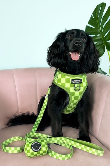 Pawsome Paws Boutique Dark Green Adjustable Dog Harness