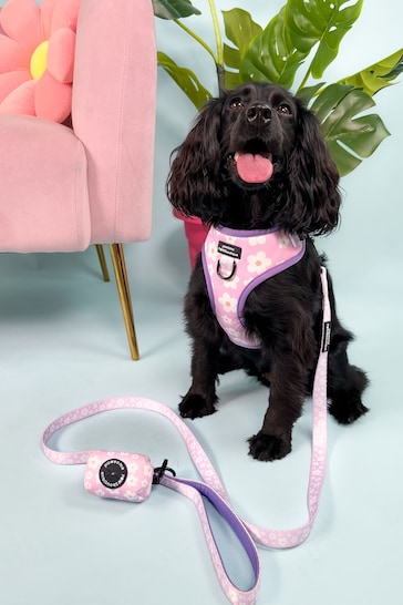 Pawsome Paws Boutique Pink Dog Collar And Lead Set