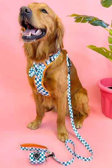 Pawsome Paws Boutique Teal White Dog Collar And Lead Set