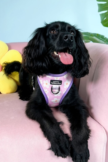 Pawsome Paws Boutique Pale Pink Adjustable Dog Harness