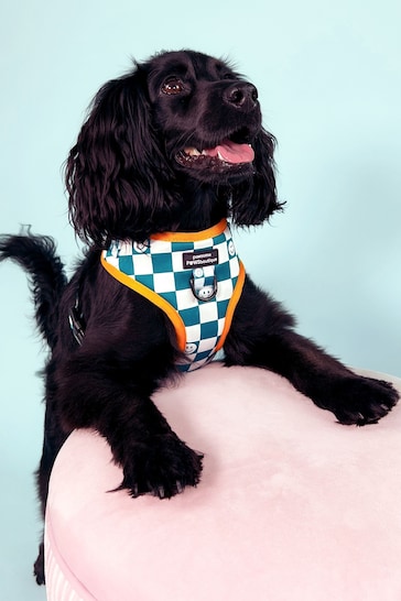 Pawsome Paws Boutique Teal White Adjustable Dog Harness