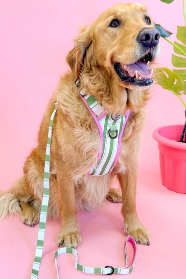 Pawsome Paws Boutique Green Dog Lead