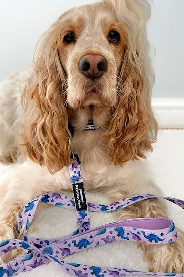 Pawsome Paws Boutique Purple Dog Collar And Lead Set