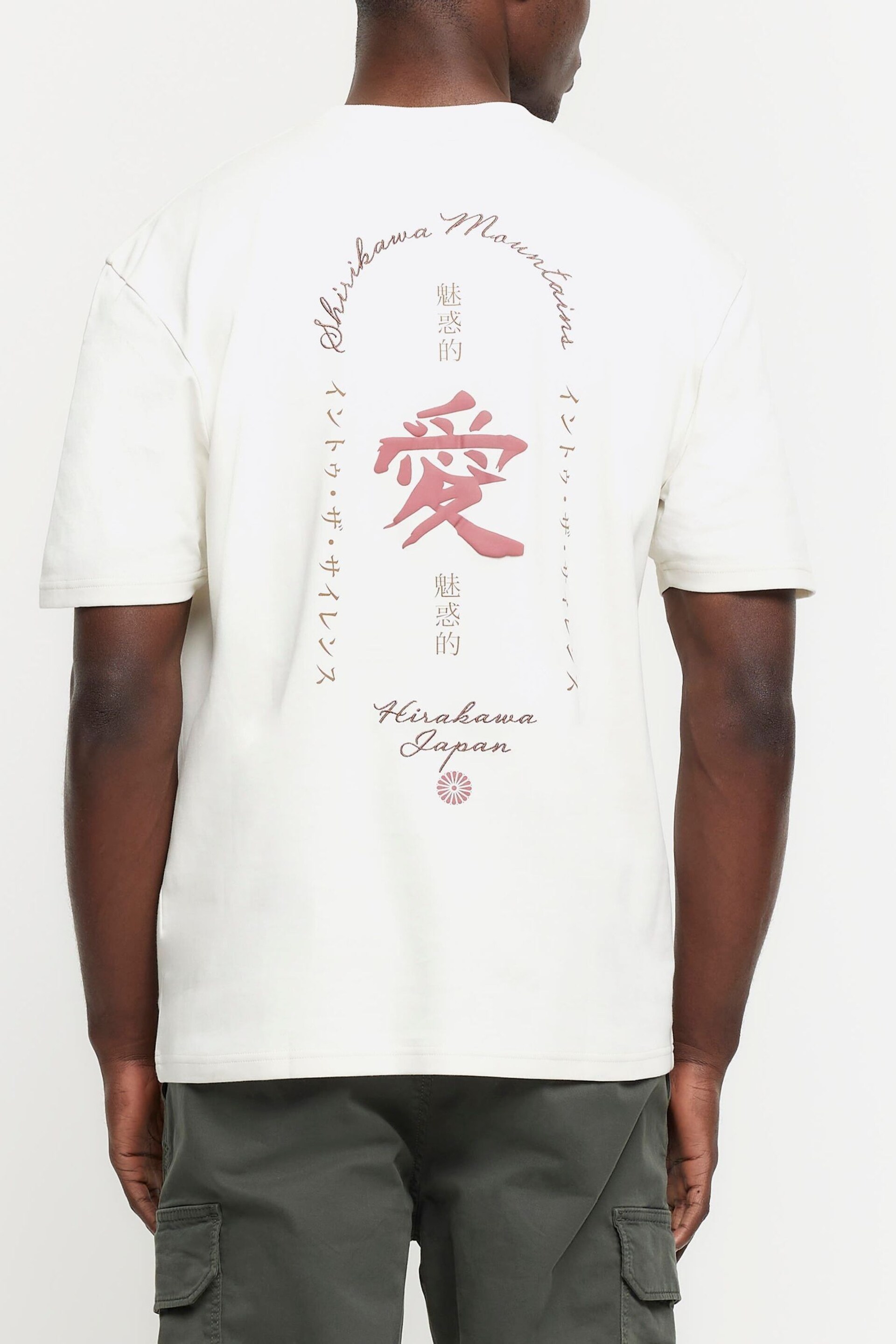 River Island White Regular Fit Ecru Shirikawa Mountains T-Shirt - Image 1 of 5