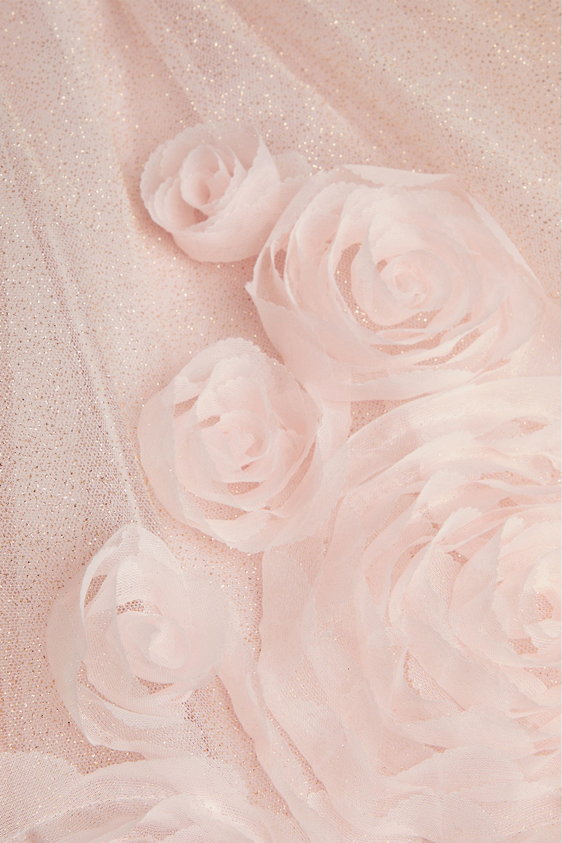 Buy Monsoon Pink Arabella 3D Roses Dress from Next Slovakia