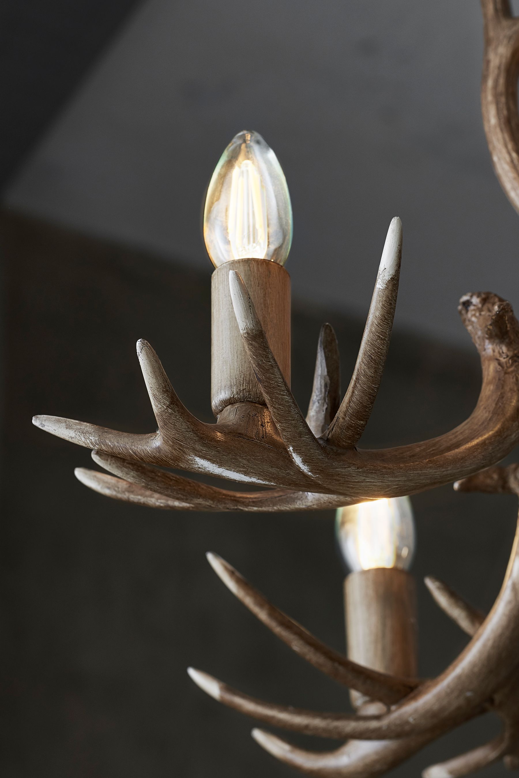 Next antler light on sale fitting