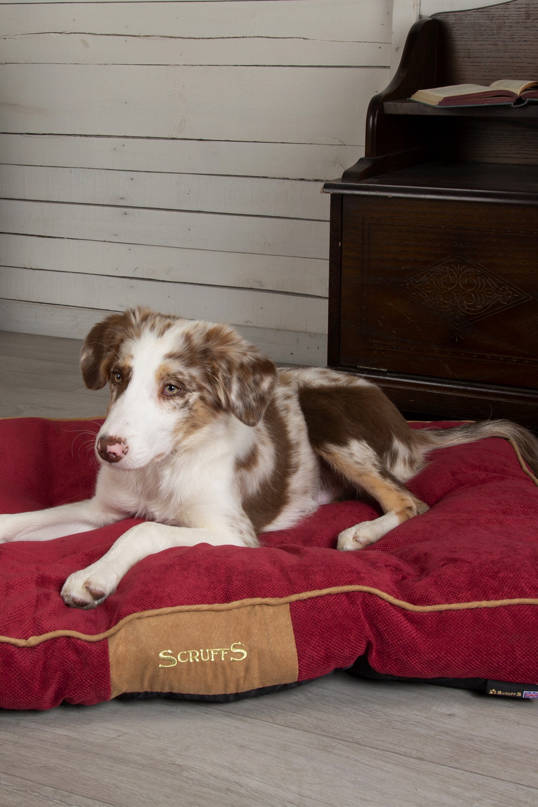 Buy Scruffs Red Highland Pet Mattress from the Next UK online shop