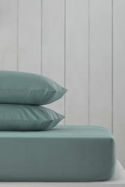 Green Sage Cotton Rich Fitted Sheet - Image 1 of 2
