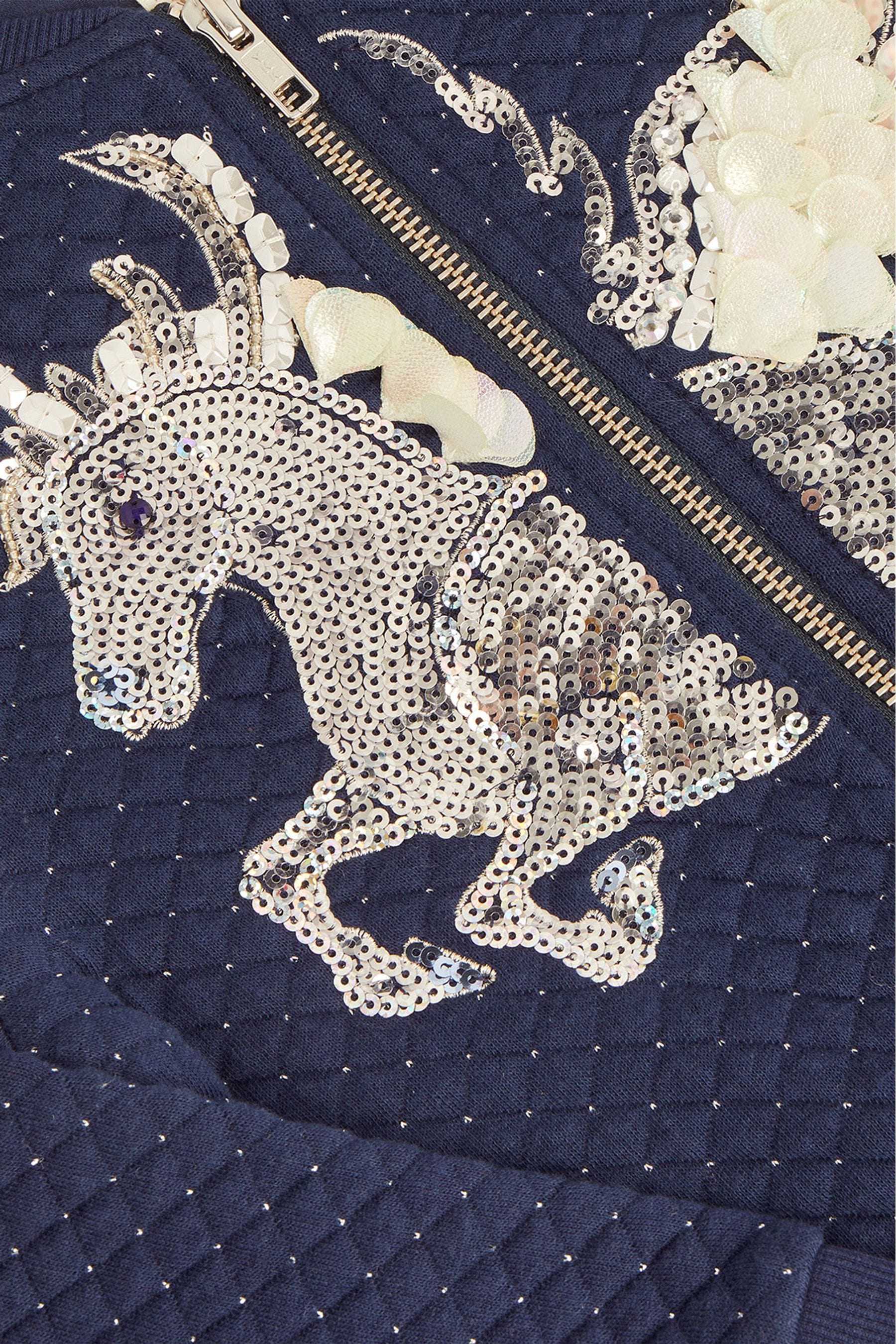 Sequin on sale unicorn jacket