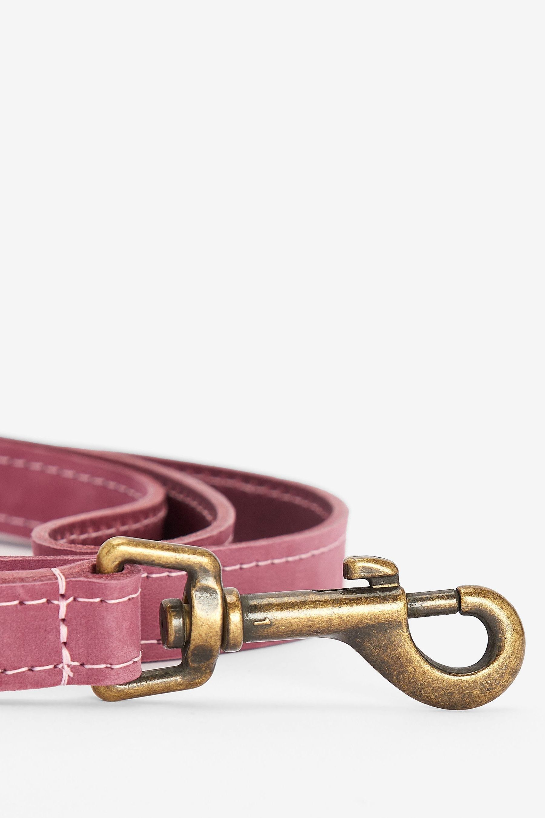 Buy Barbour Pink Leather Dog Lead from the Next UK online shop